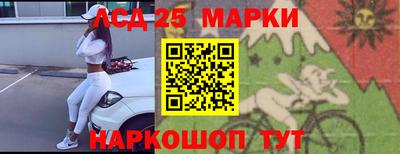 шишки Ставрополь