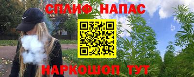 прущие грибы Среднеуральск