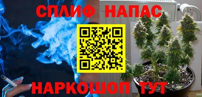 шишки Ставрополь