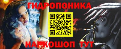 шишки Ставрополь