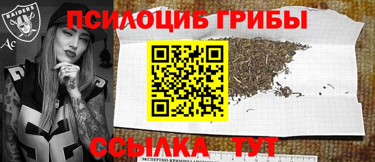 Галлюциногенные грибы Psilocybe Новоалександровск