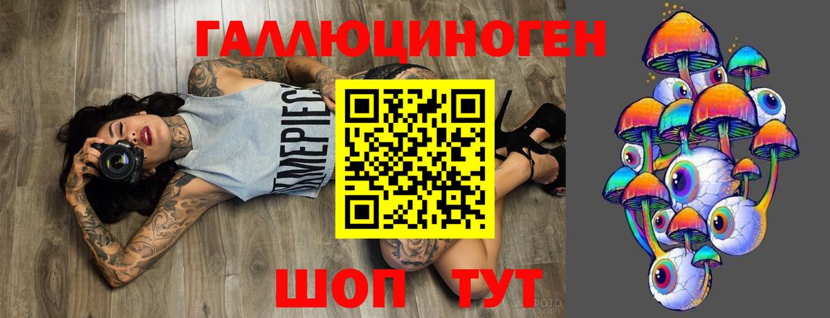 Галлюциногенные грибы GOLDEN TEACHER  Псилоцибиновые грибы Magic Shrooms  Вход с VPN  Новоалександровск 